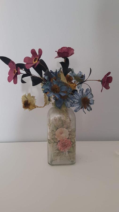 Apartamento Callejuela Las Flores อัลโกโดนาเลส ภายนอก รูปภาพ