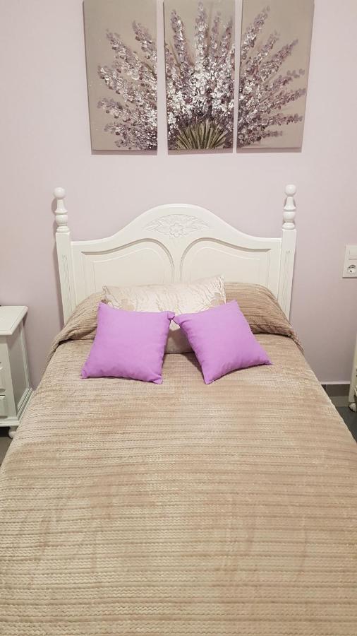 Apartamento Callejuela Las Flores อัลโกโดนาเลส ภายนอก รูปภาพ